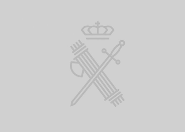 RESUMEN DEL GRUPO DE TRABAJO PARA LA MEJORA DEL EMPLEO DE CABO, CABO 1º y CABO MAYOR DE LA GUARDIA CIVIL