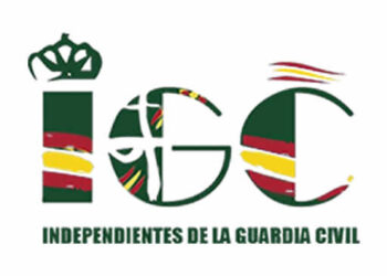 RESUMEN PLENO EXTRAORDINARIO TURNOS