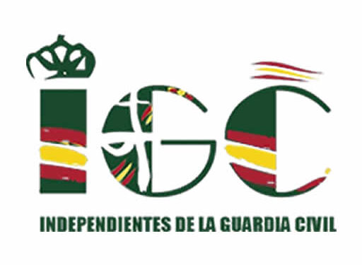 RESUMEN PLENO EXTRAORDINARIO TURNOS