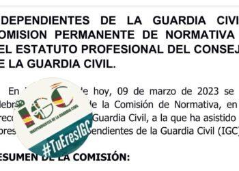 COMISION PERMANENTE DE NORMATIVA Y DEL ESTATUTO PROFESIONAL DEL CONSEJO DE LA GUARDIA CIVIL.