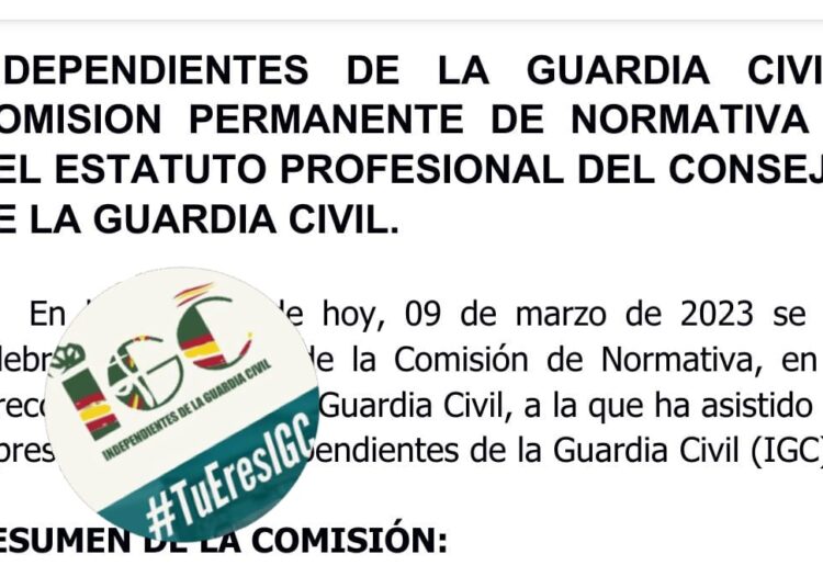 COMISION PERMANENTE DE NORMATIVA Y DEL ESTATUTO PROFESIONAL DEL CONSEJO DE LA GUARDIA CIVIL.