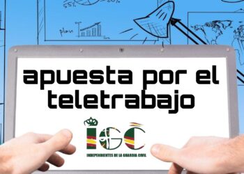 EL TELETRABAJO EN LA GUARDIA CIVIL COMO MEDIDA EFECTIVA EN MATERIA DE EFICIENCIA ENERGÉTICA