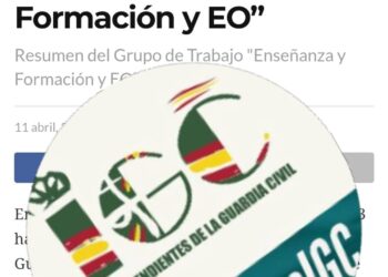 GRUPO DE TRABAJO “pOM Enseñanza de Formación y EO”