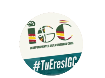 Resumen del «GRUPO TRABAJO OG FALLECIMIENTOS EN ACTO DE SERVICIO»