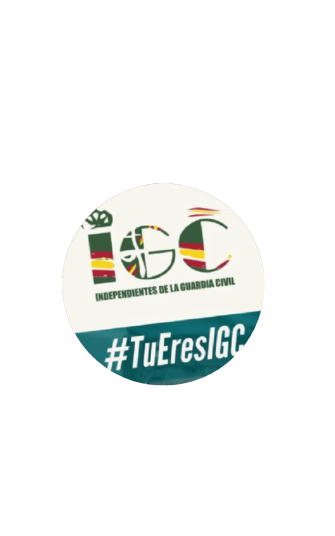 Resumen del «GRUPO TRABAJO OG FALLECIMIENTOS EN ACTO DE SERVICIO»