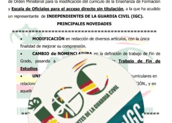 GRUPO DE TRABAJO “pOM Enseñanza de Formación y EO»