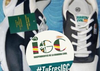 Resumen Grupo de Trabajo «Pruebas Físicas Periódicas y Voluntarias»