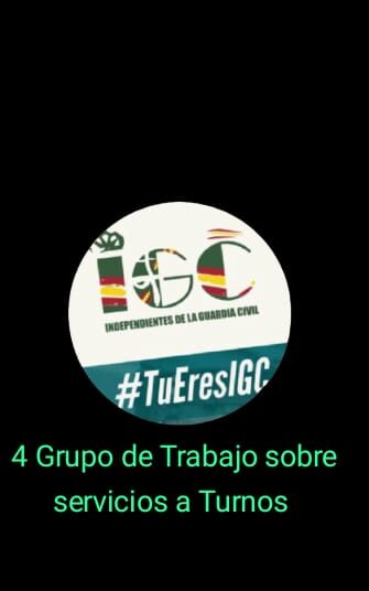 Resumen del Cuarto Grupo de Trabajo sobre servicio a Turnos