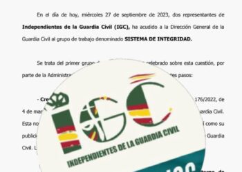 Resumen  del Grupo de Trabajo «SERVICIO DE INTEGRIDAD»