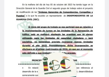 GRUPO DE TRABAJO “COMANDANCIAS, COMPAÑIAS Y PUESTOS”