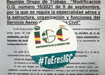 Grupo de Trabajo «Modificación O.G. numero 16/2021 de 9 de septiembre, por la que se regula la especialidad aérea y la estructura, organización y funciones del Servicio Aéreo de la Guardia Civil