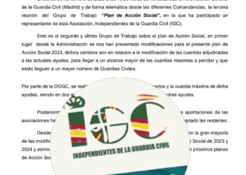 Grupo de Trabajo Plan de Acción Social