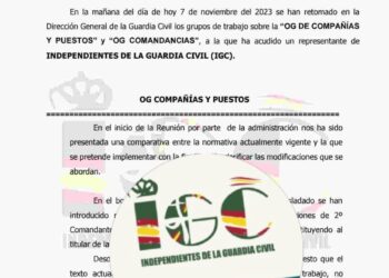  GRUPO DE TRABAJO “OG COMPAÑÍAS Y PUESTOS” y “OG COMANDANCIAS”