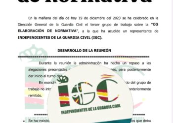 GRUPO DE TRABAJO “OG ELABORACIÓN DE NORMATIVA”