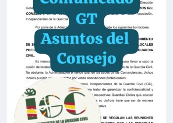 Resumen del  Grupo de Trabajo “ASUNTOS DEL CONSEJO”