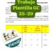 Grupo de Trabajo «Plantilla Guardia Civil (2025-2029)