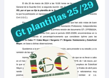Resumen del Grupo Trabajo GT.02   PLANTILLA    GUARDIA    CIVIL    2025-2029”
