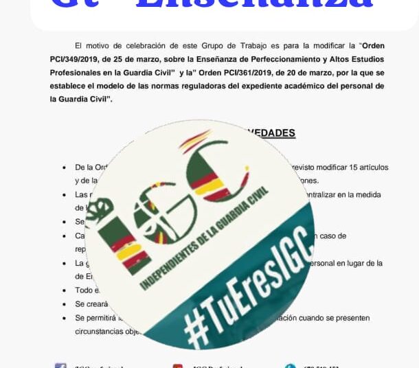 Resumen del Grupo de Trabajo de «Enseñanza»