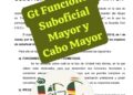  Resumen del “ GT FUNCIONES SUBOFICIAL MAYOR   Y   CABO MAYOR”