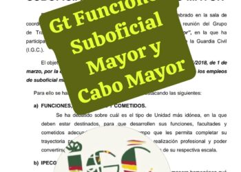  Resumen del “ GT FUNCIONES SUBOFICIAL MAYOR   Y   CABO MAYOR”