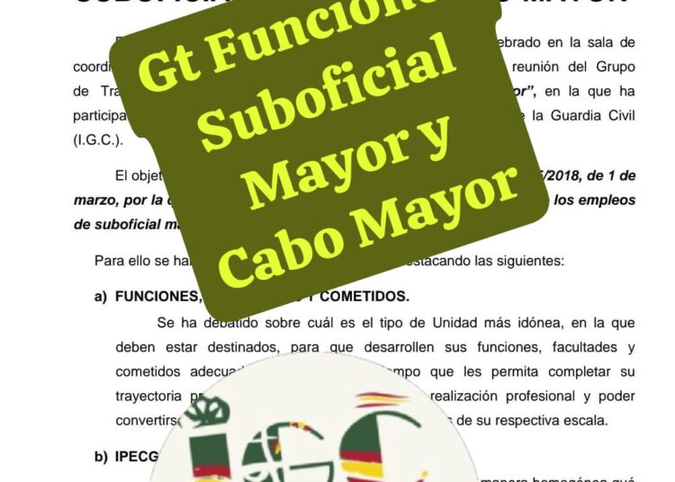 Resumen del “ GT FUNCIONES SUBOFICIAL MAYOR Y CABO MAYOR”
