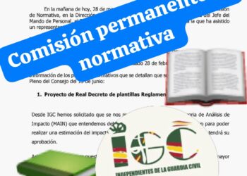 COMISION PERMANENTE DE NORMATIVA Y DEL ESTATUTO PROFESIONAL DEL CONSEJO DE LA GUARDIA CIVIL.