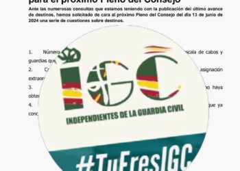 IGC solicita información sobre vacantes para el próximo Pleno del Consejo