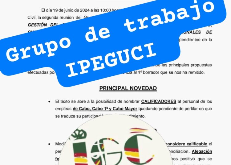 Resumen del  “GT  OM IPEGUCI”