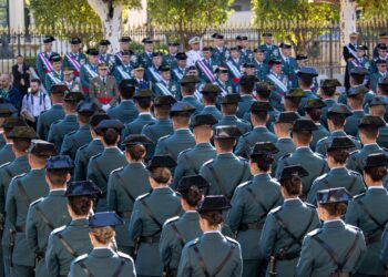 “GT pmOM FUNCIONES SUBOFICIAL MAYOR Y CABO MAYOR”