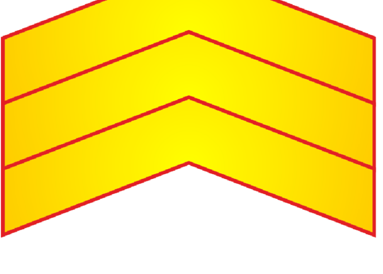 IGC ha informado una propuesta al Consejo sobre el uso del distintivo de consideración de suboficial