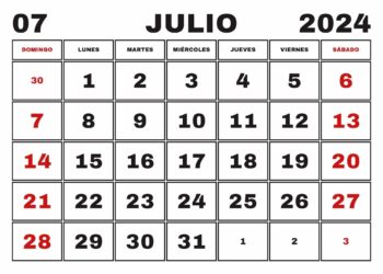 Actividad de IGC durante el mes de JULIO del 2024 en el Consejo de la Guardia Civil