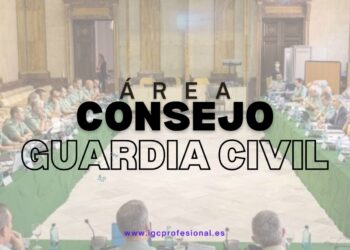 COMISION PERMANENTE DE NORMATIVA Y DEL ESTATUTO PROFESIONAL DEL CONSEJO DE LA GUARDIA CIVIL