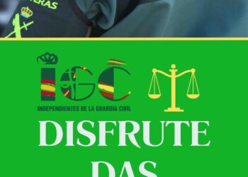 IGC ESTUDIA LAS CONSECUENCIAS JURÍDICAS DE LA SENTENCIA 213/2023 P.O. 161/2021 TRAS DICTAMINAR LA MISMA LA ANULACIÓN DE LA ORDEN GENERAL 4/2021 DE 12 DE FEBRERO DE INCENTIVOS AL RENDIMIENTO Y EL ALCANCE DE ESTAS EN CUANTO AL DISFRUTE DE LOS D.A.S GENERADOS