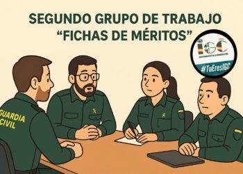 Segundo Grupo de Trabajo Fichas de Méritos